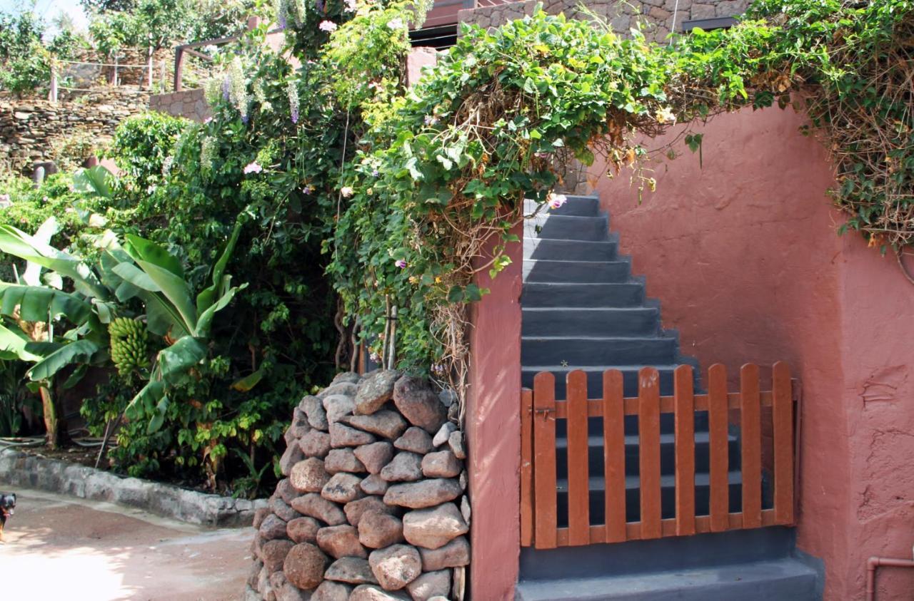 Tonono'S Village Santa Maria de Guia de Gran Canaria Dış mekan fotoğraf