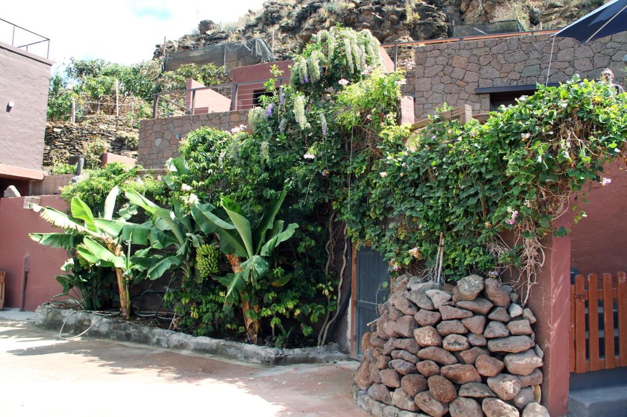 Tonono'S Village Santa Maria de Guia de Gran Canaria Dış mekan fotoğraf
