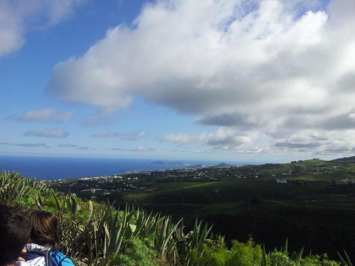 Tonono'S Village Santa Maria de Guia de Gran Canaria Dış mekan fotoğraf