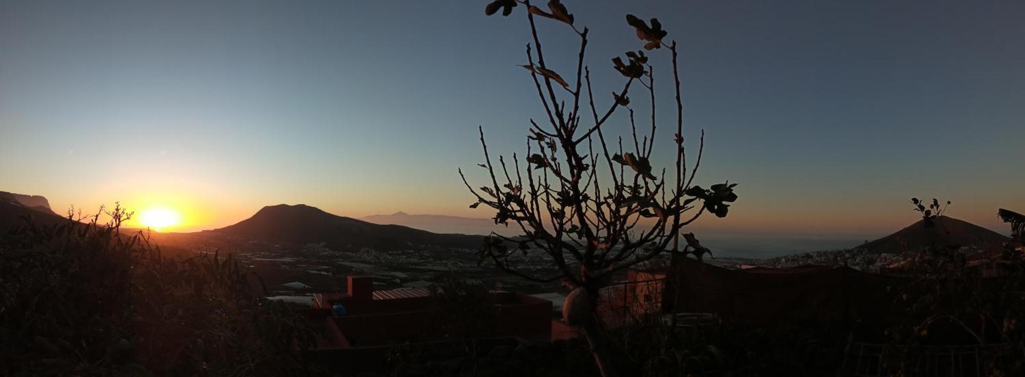 Tonono'S Village Santa Maria de Guia de Gran Canaria Dış mekan fotoğraf