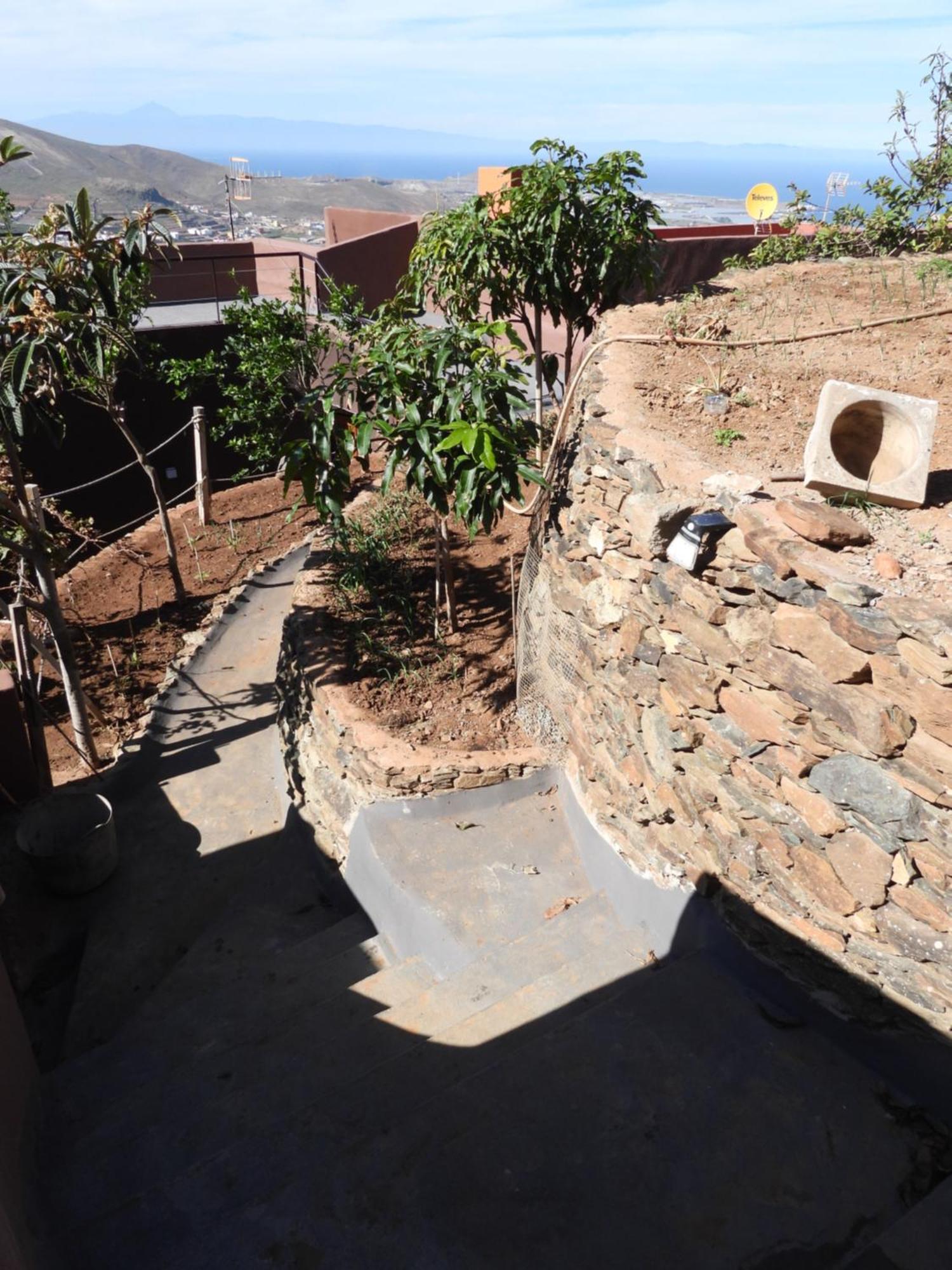 Tonono'S Village Santa Maria de Guia de Gran Canaria Dış mekan fotoğraf