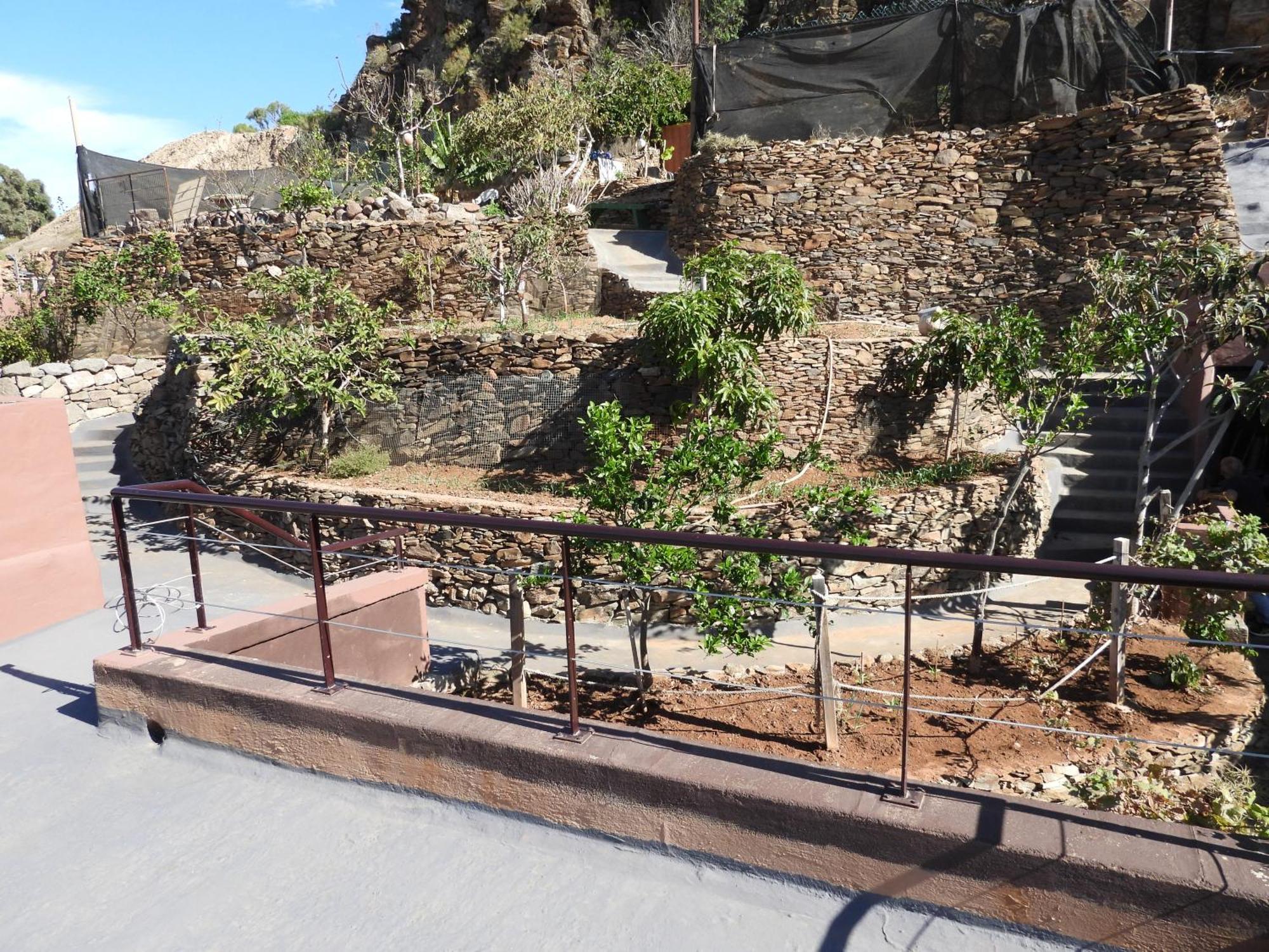 Tonono'S Village Santa Maria de Guia de Gran Canaria Dış mekan fotoğraf